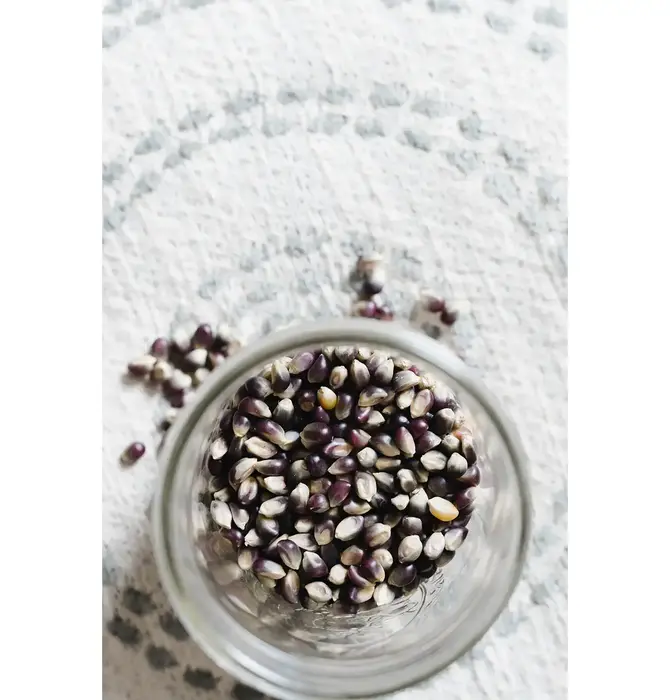 Snack | Popcorn Bottle