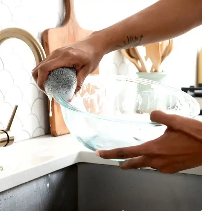 Brush | Netted Scrubbers | Clean Ocean