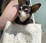 Bag | Canvas Tote | Dogs