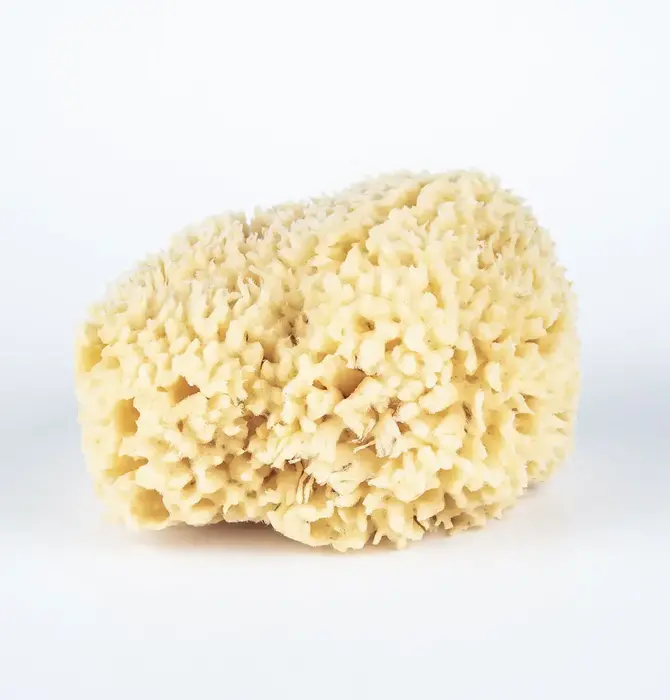 Bath Sponge | Wool Sea | Large