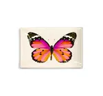 Glass Tray | Decoupage | Pink Sardinia Butterfly