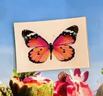 Glass Tray | Decoupage | Pink Sardinia Butterfly