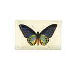 Glass Tray | Decoupage | Tropical Butterfly