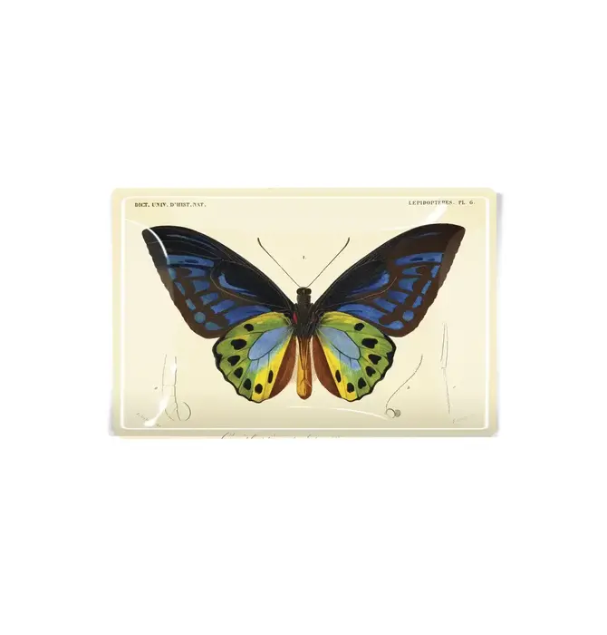 Glass Tray | Decoupage | Tropical Butterfly