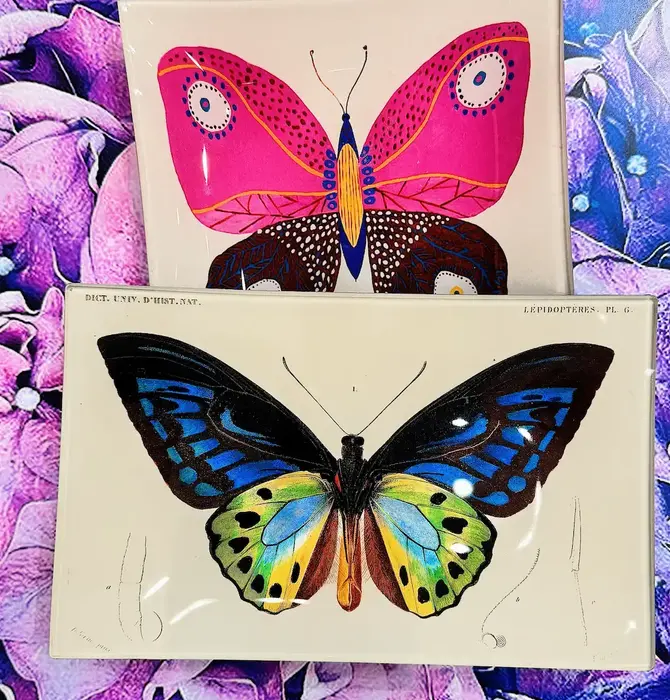 Glass Tray | Decoupage | Tropical Butterfly