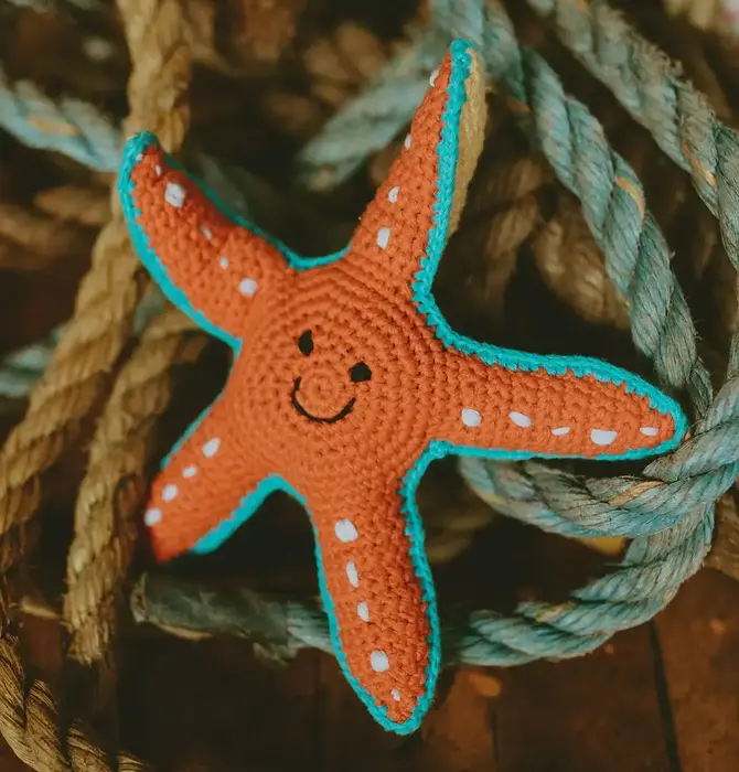 Toy | Crochet Rattle | Starfish