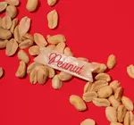 Hair Clip | Peanut