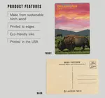 Postcard | Wood | Bison Sunset