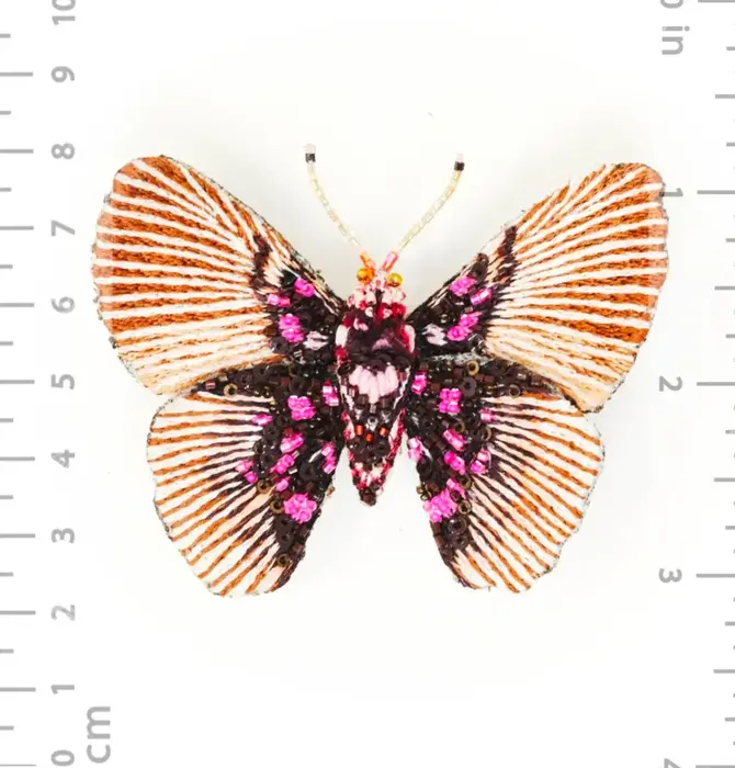 Brooch Pin | Variable False Acraea Butterfly