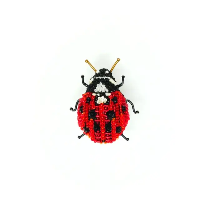 Brooch Pin | Lady Bug Beetle