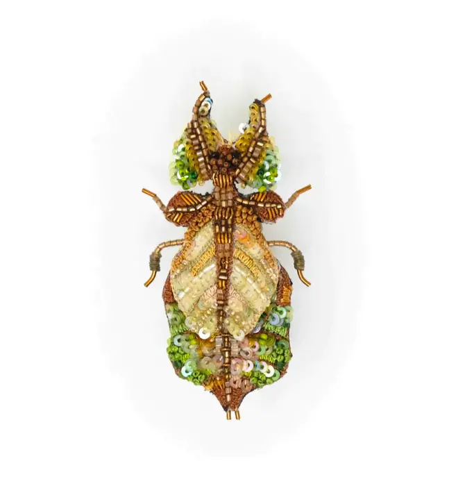 Brooch Pin | Giant Leaf Insect