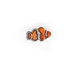 Brooch Pin | Clownfish