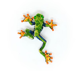 Brooch Pin | Red Eyed Tree Frog