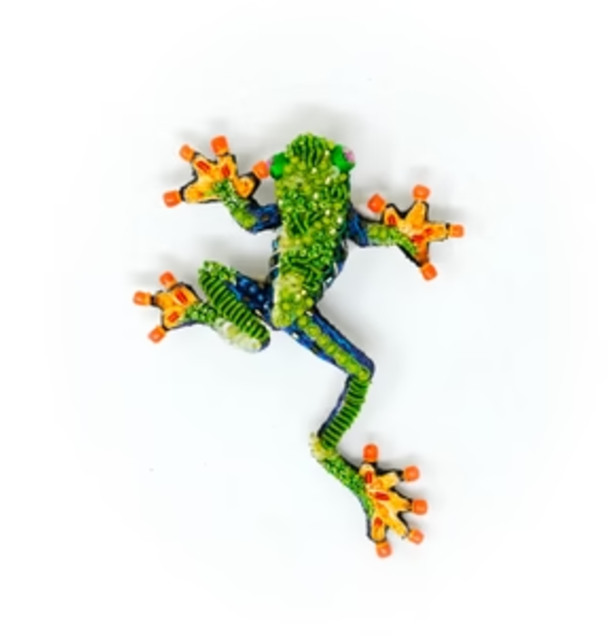 Brooch Pin | Red Eyed Tree Frog