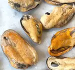 Dog Treats | Gourmate