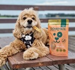 Dog Treats | Gourmate