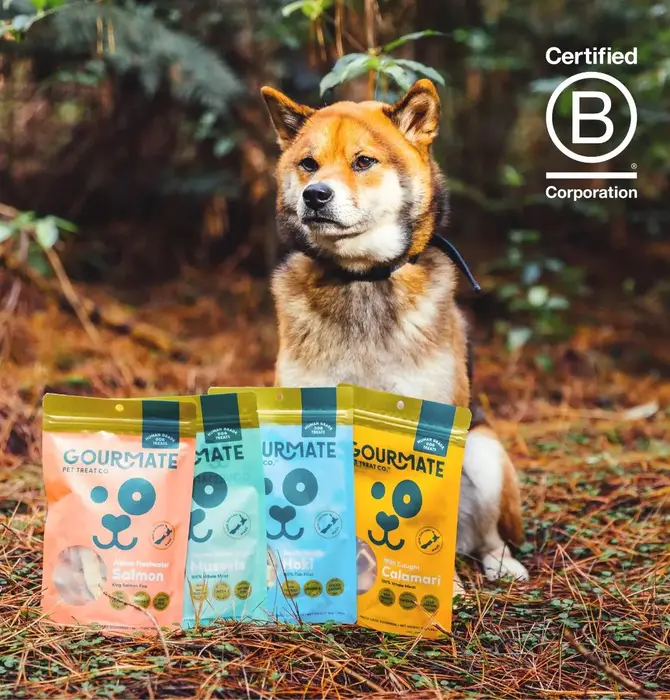 Dog Treats | Gourmate