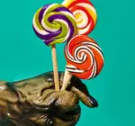 Candy | Handmade Lollipop