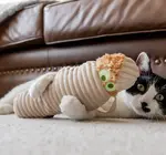 Cat Plush Toy | Mummy/Meow-my Kicker