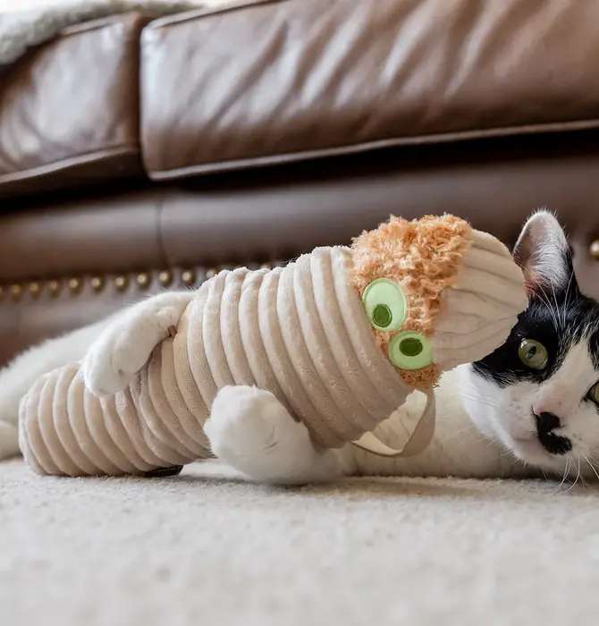 Cat Plush Toy | Mummy/Meow-my Kicker