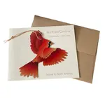 Ornament + Notecard | Bronze | Cardinal