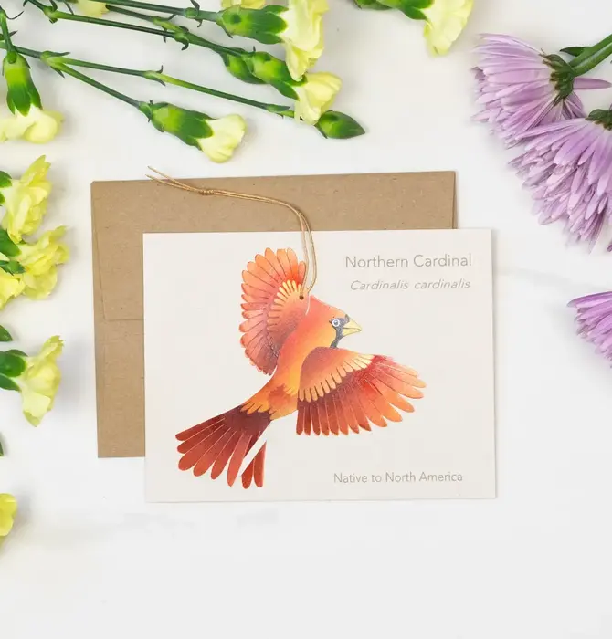 Ornament + Notecard | Bronze | Cardinal