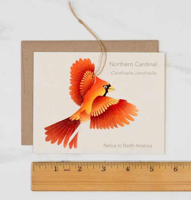 Ornament + Notecard | Bronze | Cardinal