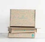 Mobile | Flying | Hummingbird Pink