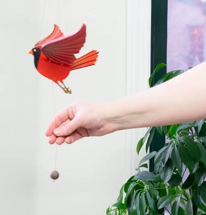 Mobile | Flying | Cardinal