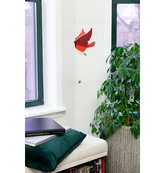 Mobile | Flying | Cardinal