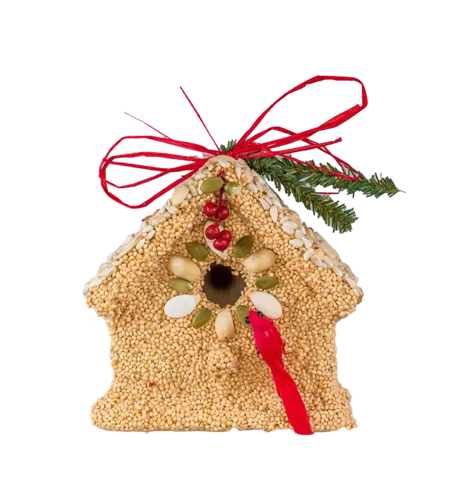 Bird Seed | Poinsettia Cottage
