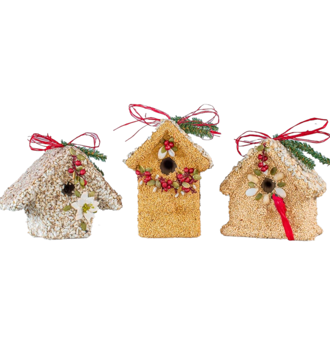 Bird Seed | Poinsettia Cottage