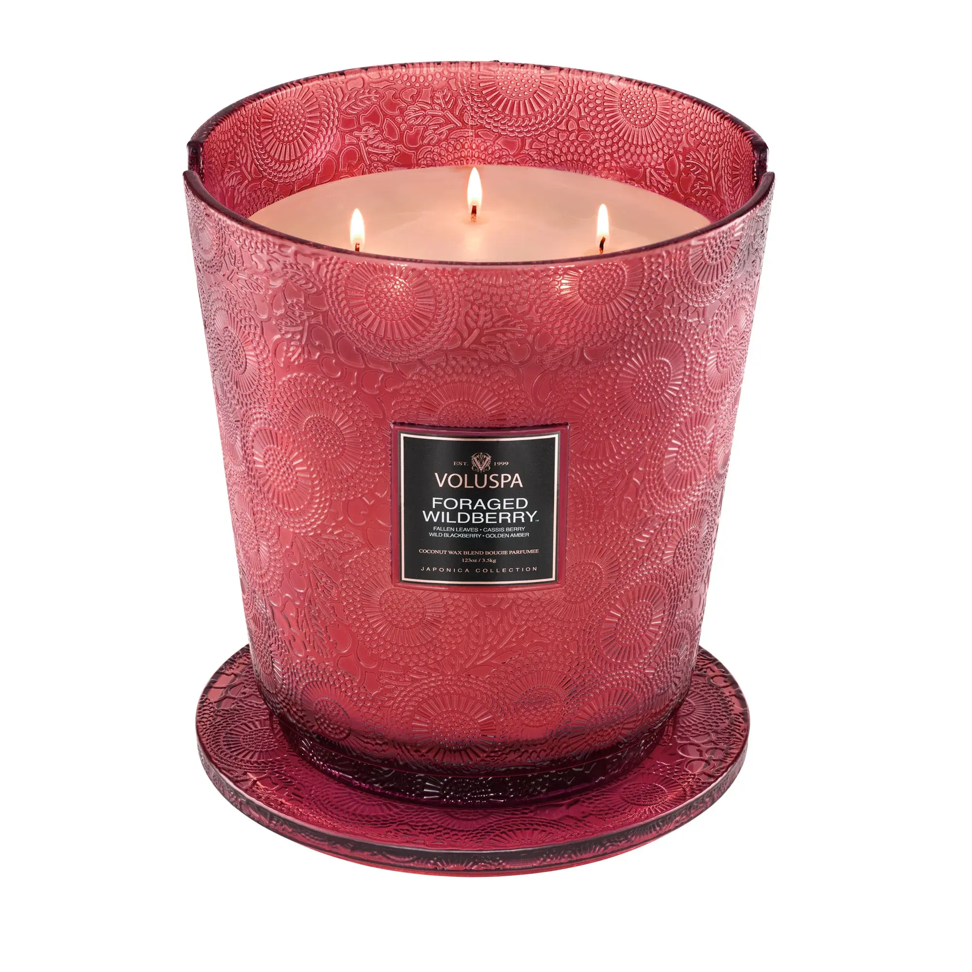 Candle | 5-Wick Hearth | Foraged Wildberry - PLENTY Mercantile