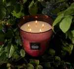 Candle | Foraged Wildberry | 5-Wick Hearth