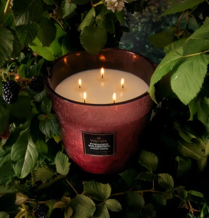 Candle | Foraged Wildberry | 5-Wick Hearth