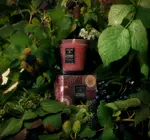 Candle | Foraged Wildberry | Classic Embossed Jar
