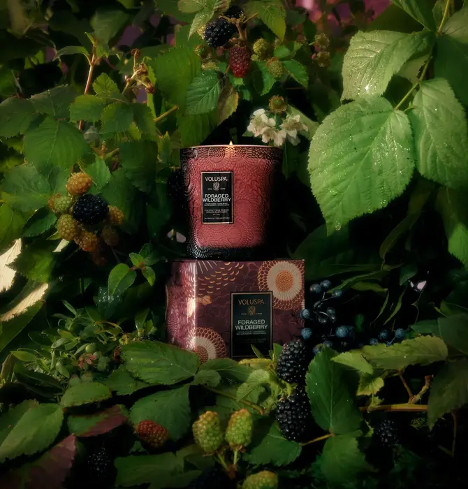 Candle | Foraged Wildberry | Classic Embossed Jar