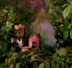 Candle | Foraged Wildberry | Classic Embossed Jar