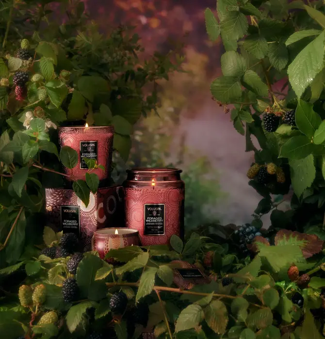 Candle | Foraged Wildberry | Classic Embossed Jar