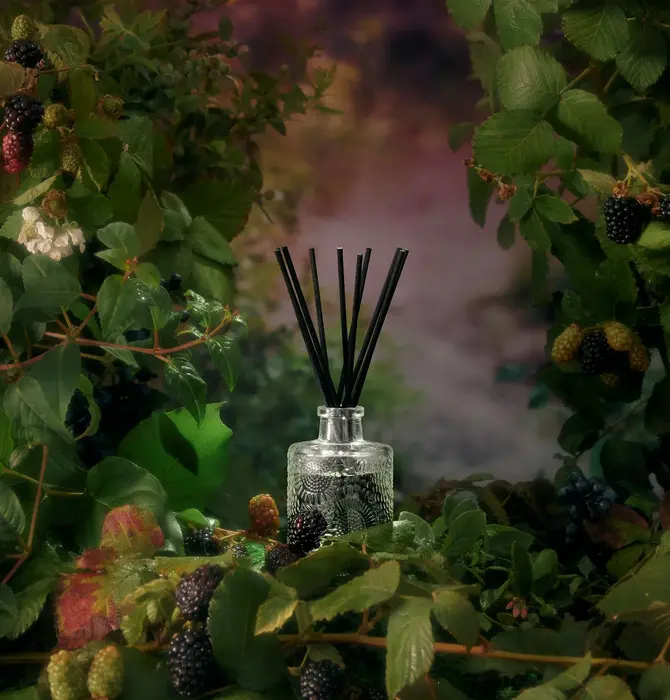 Reed Diffuser | Foraged Wildberry
