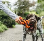 Dog Toy | Honeycomb Rope