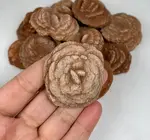 Tchotchke | Rose Rock | Regular