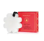 Sponge Buffer | Body Washed Infused | Sugar Dahlia