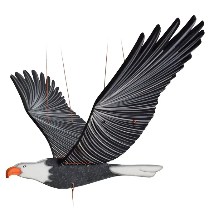 Mobile | Flying | American Bald Eagle