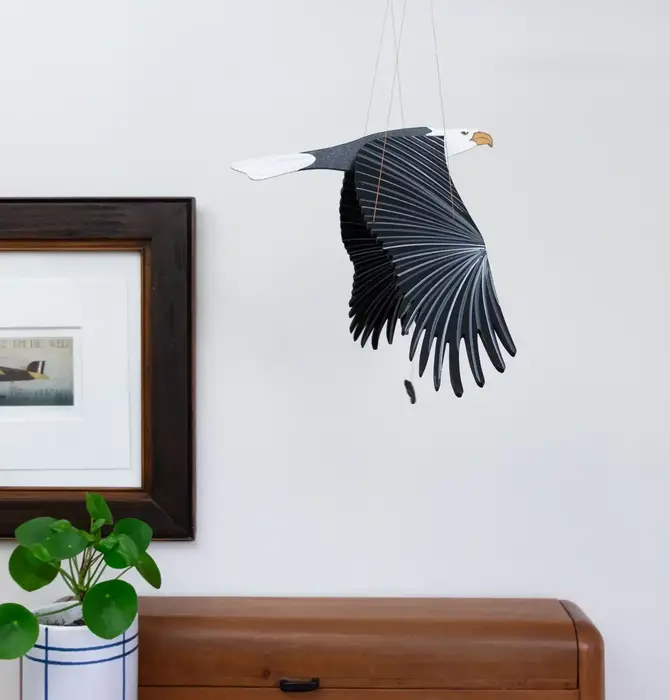 Mobile | Flying | American Bald Eagle