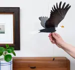 Mobile | Flying | American Bald Eagle