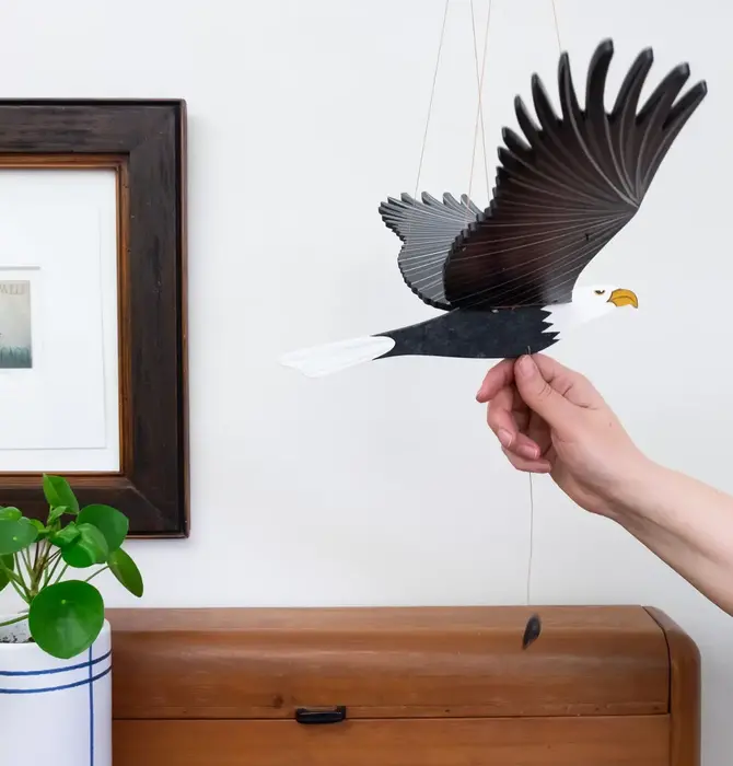 Mobile | Flying | American Bald Eagle