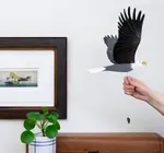 Mobile | Flying | American Bald Eagle