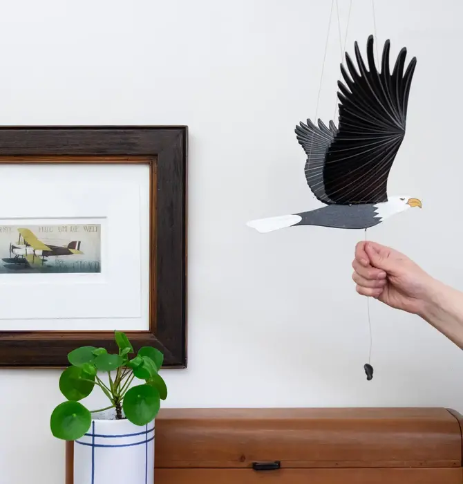 Mobile | Flying | American Bald Eagle