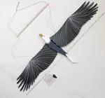 Mobile | Flying | American Bald Eagle